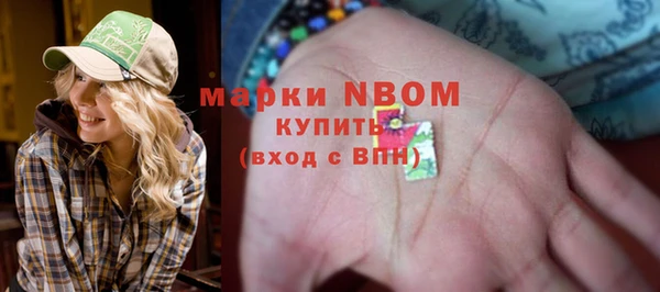 гидропоника Алзамай