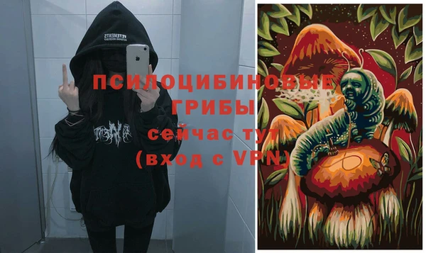 наркотики Алексин
