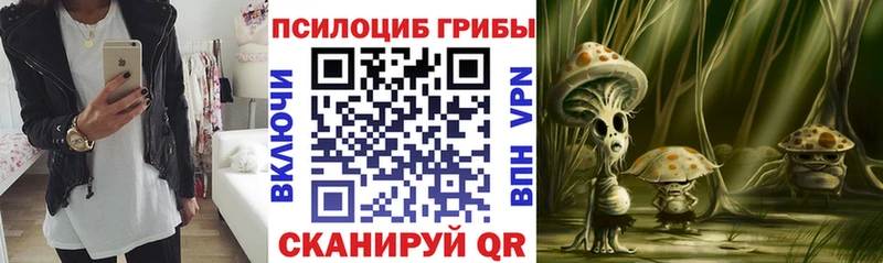 Галлюциногенные грибы Psilocybine cubensis  Мирный 