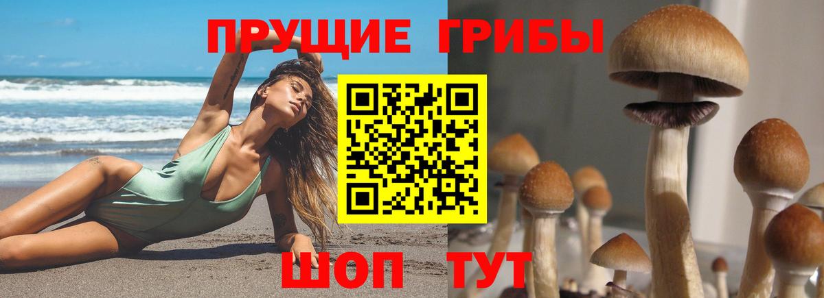 Мирный  Галлюциногенные грибы мухоморы  Псилоцибиновые грибы Psilocybe  Вход с VPN 